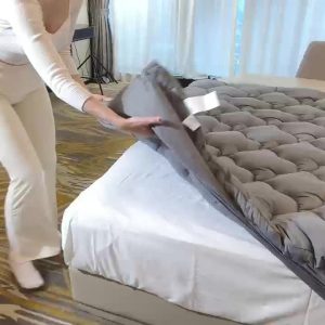 1 Ultra-soft, Breathable 450G Cloud-fill Mattress Protector