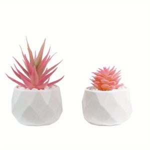 2/3realistic artificial succulent potted plants that are durable and maintenance free They are used as simulated plants for year-round decoration and are most suitable for desktop ornaments - holiday decorations-Thanksgiving and Christmas decorations