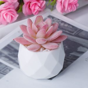 2pcs Realistic Artificial Succulent Bonsai Tree, Durable, Low Maintenance, Plastic, with Pot, for Indoor/Outdoor Decoration, Tabletop Decoration, Four Seasons Decoration, Home Office Decoration, for Friendship Day, Thanksgiving, Graduation, Labor Day, National Nurses Day, St. Nicholas Day